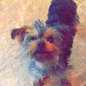 Meet your Posher, Nicole